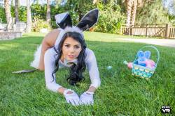 Gina Valentina Bailey Brooke Easter Bunnies - 228x-y6waqh1d15.jpg