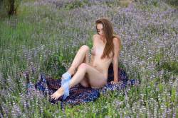 Agatha-Ann-Lavender-120-pictures-6720px-t7anevwa2a.jpg