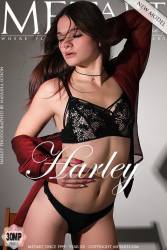 Presenting Harley - 123 pictures - 6720px u7b5ggsppy