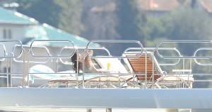 Sara Sampaio Topless Sunbathing On A Yacht In Francel7b47nmzoy.jpg